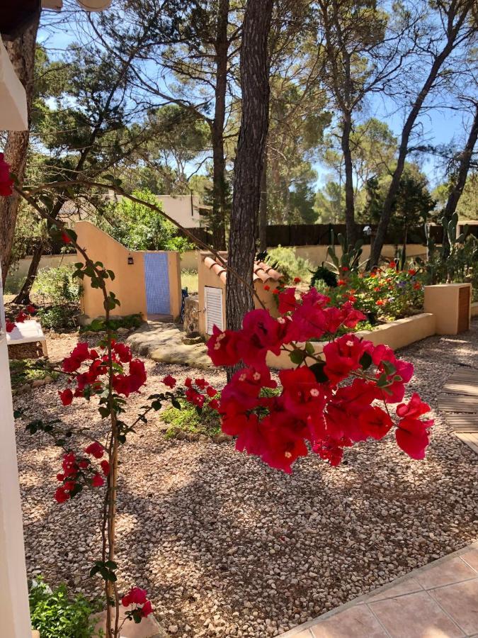 Apartamento Sa Ginebra, Cala Saona Dış mekan fotoğraf
