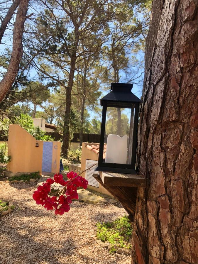 Apartamento Sa Ginebra, Cala Saona Dış mekan fotoğraf